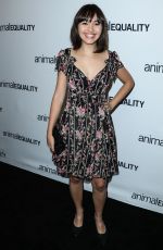 TAYLOR BLACKWELL at Animal Equality