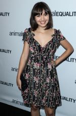 TAYLOR BLACKWELL at Animal Equality