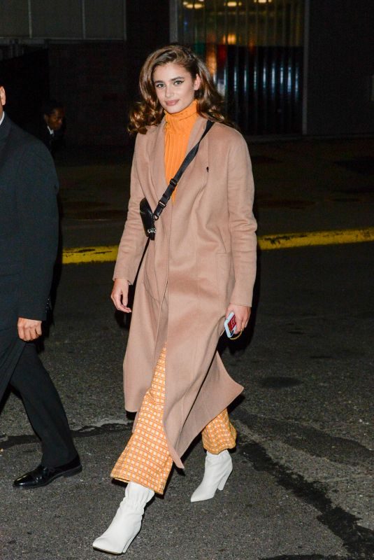 TAYLOR HILL Arrives at a Fashion Show in New York 10/25/2018