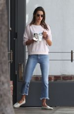 ALESSANDRA AMBROSIO Out and About in Pacific Palisades 11/17/2018
