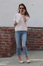 ALESSANDRA AMBROSIO Out and About in Pacific Palisades 11/17/2018