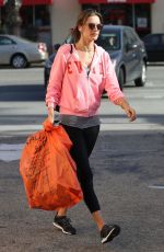 ALESSANDRA AMBROSIO Out Shopping in Santa Monica 10/31/2018