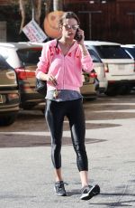 ALESSANDRA AMBROSIO Out Shopping in Santa Monica 10/31/2018