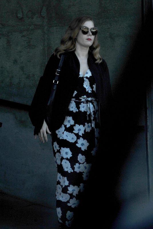 AMY ADAMS Leaves Milk Studios in Hollywood 11/02/2018