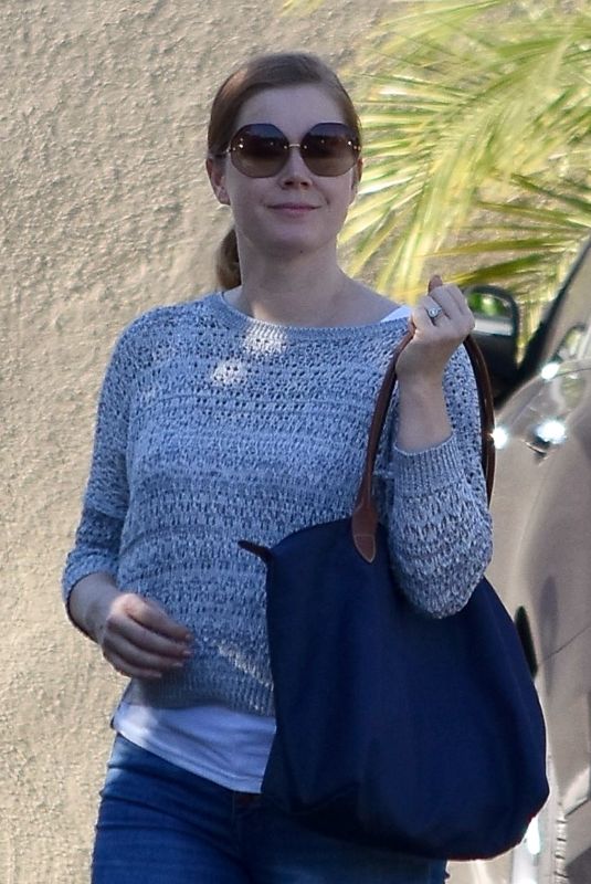 AMY ADAMS Out in Studio City 11/12/2018
