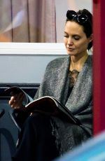ANGELINA JOLIE Watches Her Kids Karate Class in Los Angeles 11/19/2018