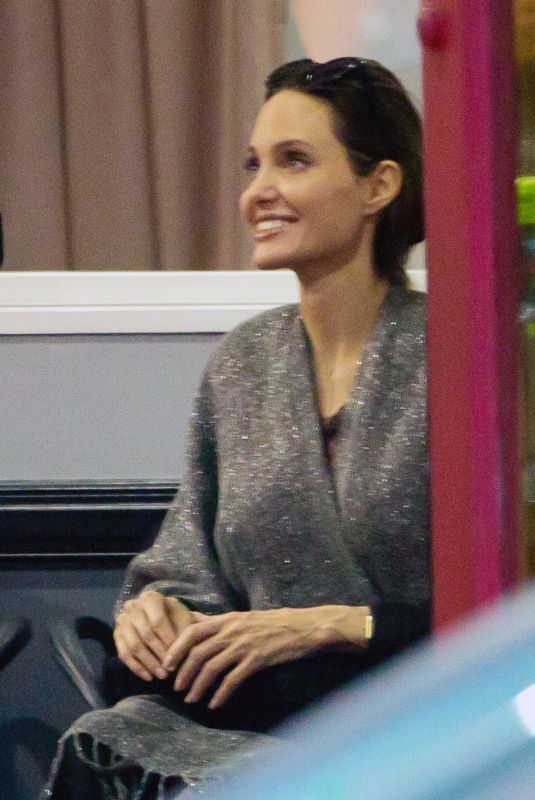 ANGELINA JOLIE Watches Her Kids Karate Class in Los Angeles 11/19/2018