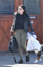 ARIEL WINTER Taking Her Dog to Vet in Sherman Oaks 11/25/2018