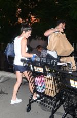 ASHLEY GREENE Out Shopping in Los Angeles 11/03/2018