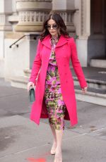 CATHERINE ZETA JONES Leaves Her Apartment in New York 11/27/2081