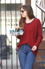 DAKOTA JOHNSON at Alfred Coffee in Los Angeles 11/27/2018