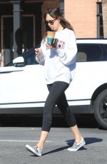 DAKOTA JOHNSON Heading to a Gym in Los Angeles 11/26/2018