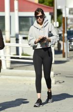 DAKOTA JOHNSON Leaves Pilates Class in Los Angeles 11/06/2018