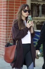 DAKOTA JOHNSON Out and About in Los Angeles 11/12/2018