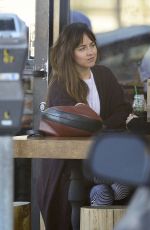 DAKOTA JOHNSON Out and About in Los Angeles 11/12/2018