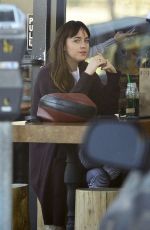 DAKOTA JOHNSON Out and About in Los Angeles 11/12/2018