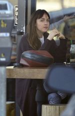 DAKOTA JOHNSON Out and About in Los Angeles 11/12/2018