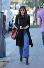 DAKOTA JOHNSON Out for a Lunch in Los Angeles 11/19/2018
