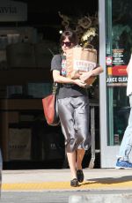 DAKOTA JOHNSON Shopping at Erewhon Market in Los Angeles 11/04/2018