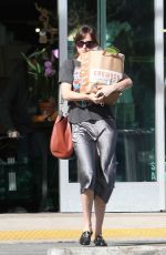 DAKOTA JOHNSON Shopping at Erewhon Market in Los Angeles 11/04/2018