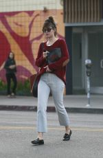 DAKOTA JOHNSON Shopping at Kelly Cole in Los Angeles 11/27/2018