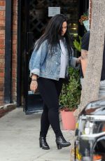 DEMI LOVATO Out and About in Los Angeles 11/07/2018