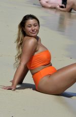 ELLIE YOUNG in Bikini at a Beach in Magaluf 11/07/2018