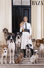 EMILY BLUNT in Harper