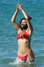 HAILEE LAUTENBACH in Bikini on the Beach in Maui 11/19/2018