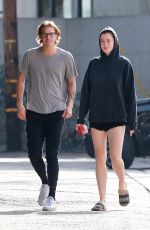 IRELAND BALDWIN and Noah Schweizer Out for Lunch in Los Angeles 11/17/2018