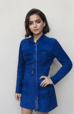 ISABELA MONEL at Instant Family Press Conference in Beverly Hills 11/12/2018