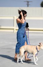 JENNA DEWAN Out with Her Dog Lulu in Los Angeles 11/24/2018
