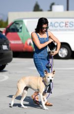JENNA DEWAN Out with Her Dog Lulu in Los Angeles 11/24/2018
