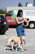 JENNA DEWAN Out with Her Dog Lulu in Los Angeles 11/24/2018