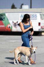 JENNA DEWAN Out with Her Dog Lulu in Los Angeles 11/24/2018