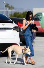 JENNA DEWAN Out with Her Dog Lulu in Los Angeles 11/24/2018