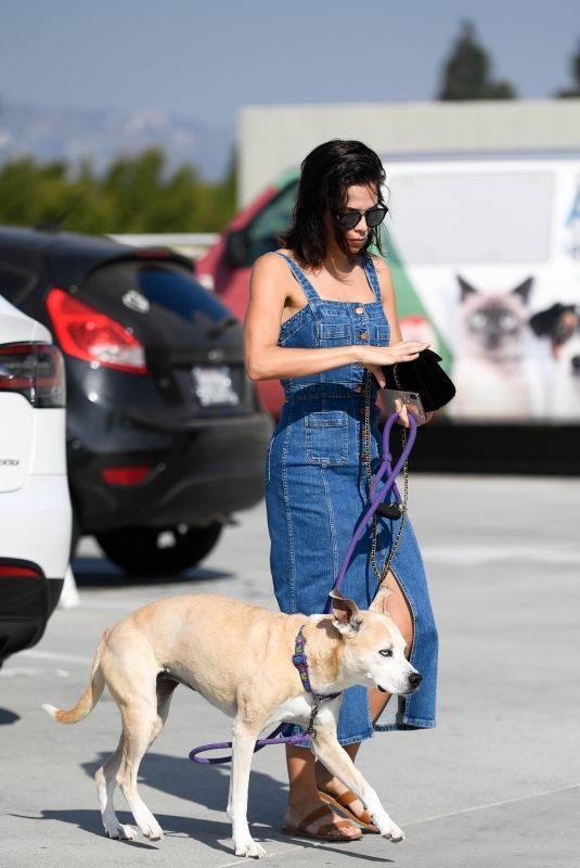 JENNA DEWAN Out with Her Dog Lulu in Los Angeles 11/24/2018