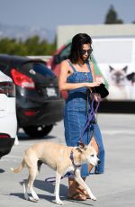 JENNA DEWAN Takes Her Dog to the Vet in Los Angeles 11/24/2018