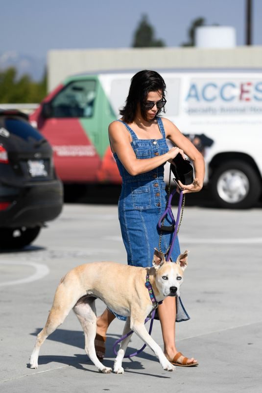 JENNA DEWAN Takes Her Dog to the Vet in Los Angeles 11/24/2018