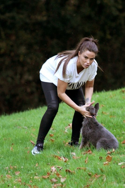 KATIE PRICE Trains Her Dog at a Park in Brighton 11/25/2018