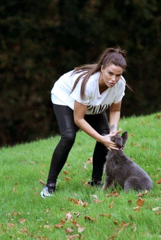 KATIE PRICE Trains Her Dog at a Park in Brighton 11/25/2018