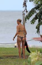 KELLY ROHRBACH in Bikini Surfing in Hawaii 11/11/2018