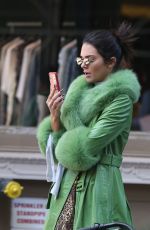 KENDALL JENNER Riding a Citi Bike Out in New York 11/03/2018