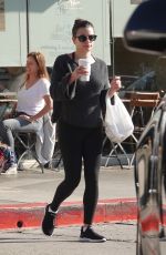 LEA MICHELE Out Shopping in Los Angeles 11/05/2018