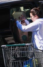 LEA MICHELE Shopping at Whole Foods in Brentwood 11/02/2018
