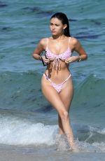 MADISON BEER in Bikini at a Beach in Miami 11/21/2018