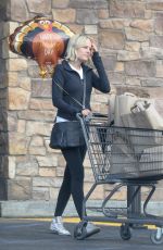 MALIN AKERMAN Out Shopping in Los Angeles 11/22/2018