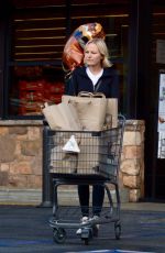 MALIN AKERMAN Out Shopping in Los Angeles 11/22/2018