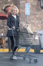 MALIN AKERMAN Out Shopping in Los Angeles 11/22/2018