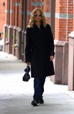 MEG RYAN Out and About in New York 11/02/2018